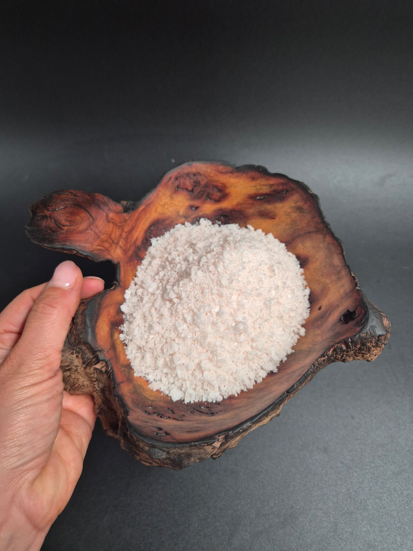 Yellowbox Burl Bowl Salt Bowl