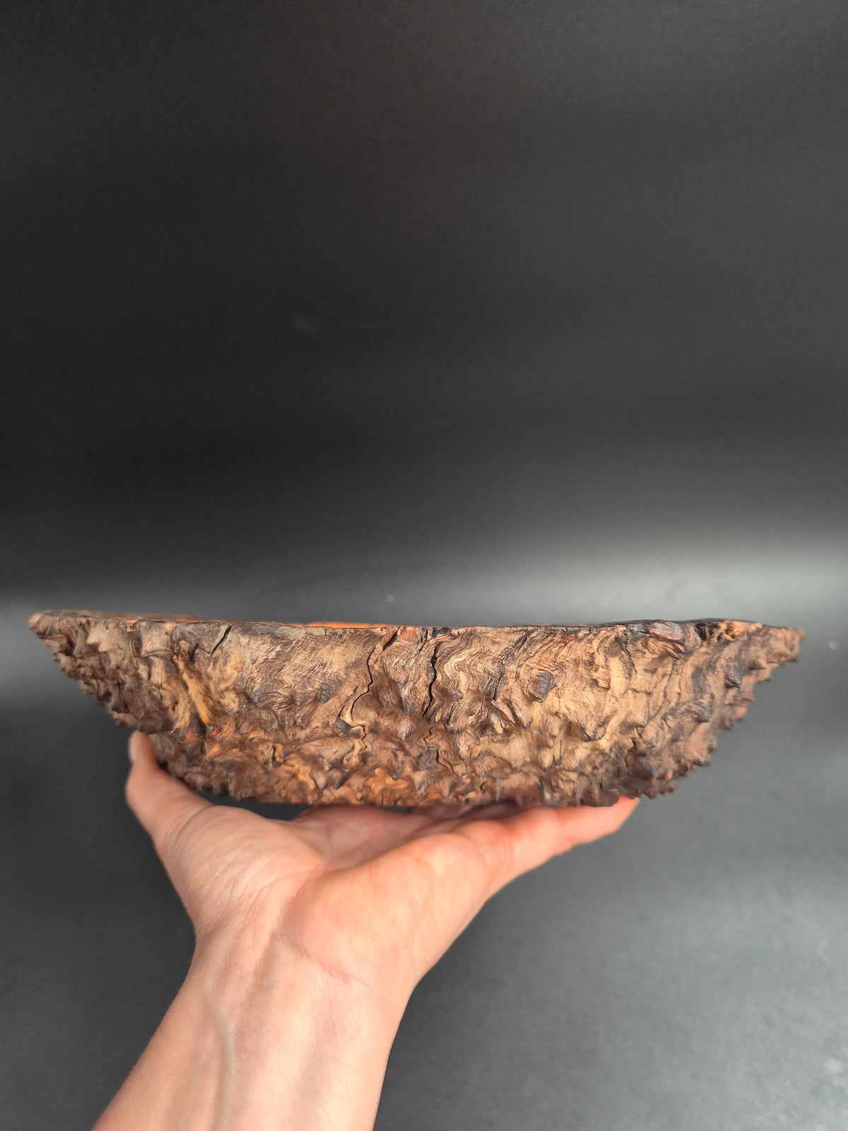 Yellowbox Burl Bowl