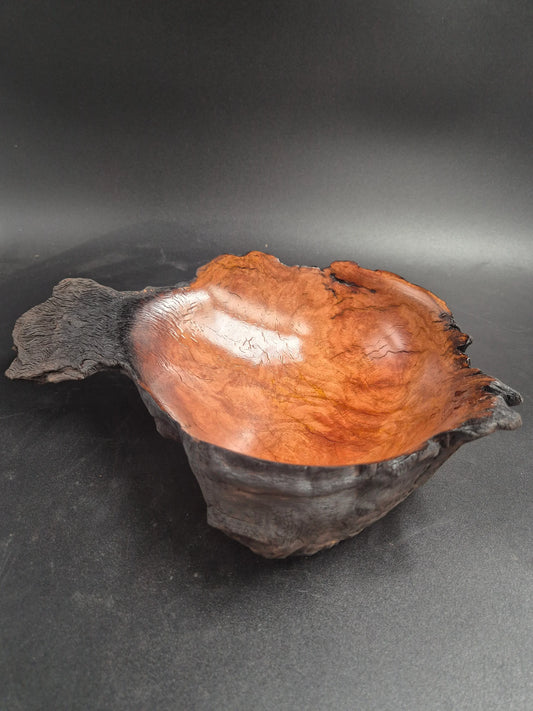 Yellowbox Burl Bowl