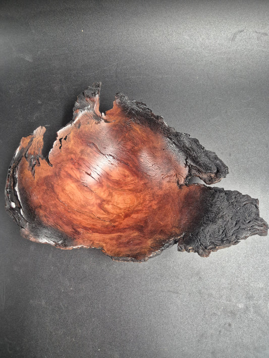 Ironbark Burl Bowl