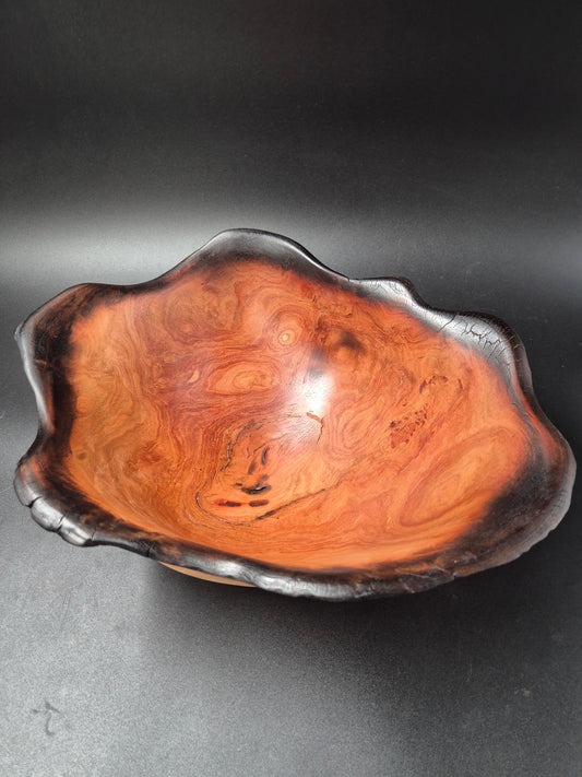 Yellowbox Burl Bowl