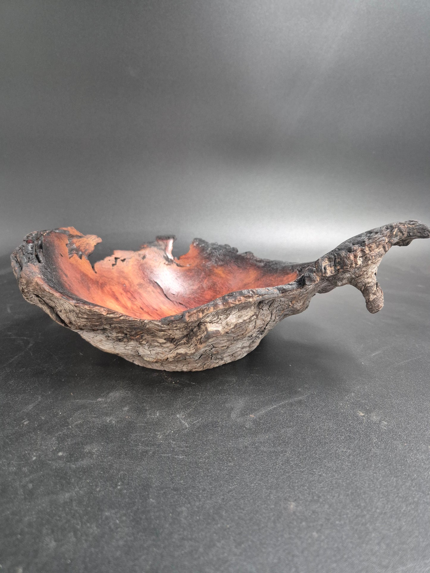 Ironbark Burl Bowl